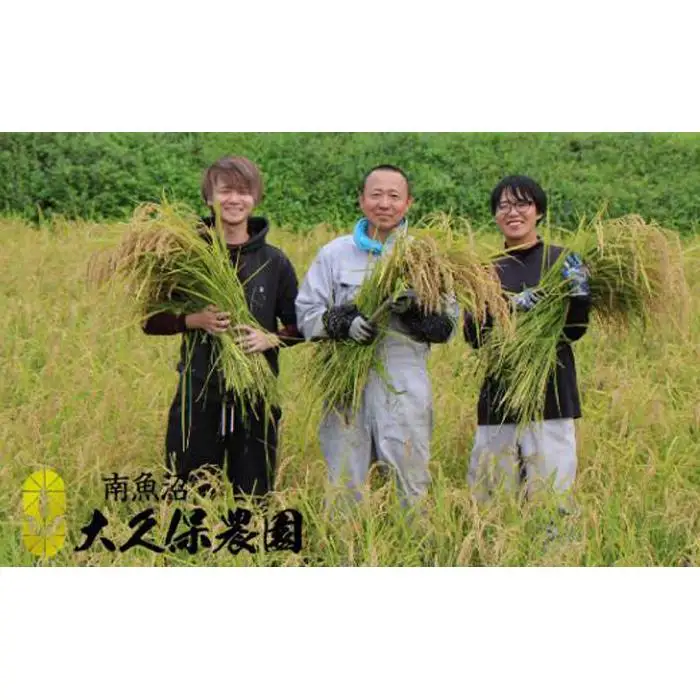【令和8年産新米予約】【１２ヶ月定期便】南魚沼産コシヒカリ　特別栽培米　八富米　　無洗米５ｋｇ×全１２回【2026年10月中旬から1ヶ月以内に順次発送予定】
