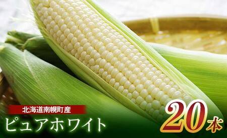 北海道産 とうもろこし 令和8年発送 ピュアホワイト20本  南幌町 NP1-172