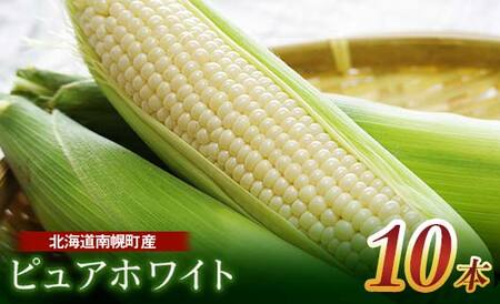 北海道産 とうもろこし 令和8年発送 ピュアホワイト10本とうきび スイートコーン 南幌町 NP1-175