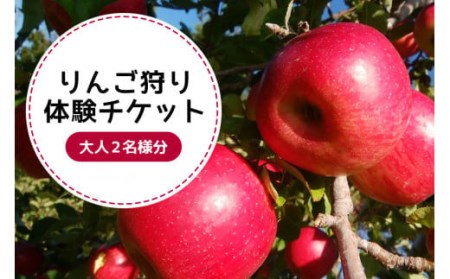 りんご狩り体験チケット（大人2名様分） りんご りんご狩り フルーツ 果物 フルーツ狩り チケット 体験 リンゴ ジュース 健康 美容 ギフト 贈り物 茨城県産 人気 プレゼント 楽しい 親子 季節 農園 りんご農園 果物狩り 味覚狩り 9-R