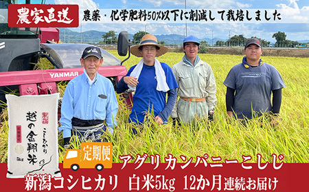 J8-7N05ZF【12ヶ月連続お届け】新潟県長岡産コシヒカリ5kg（特別栽培米）
