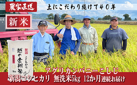J8-7MN05ZF【12ヶ月連続お届け】新潟県長岡産コシヒカリ無洗米5kg（特別栽培米）