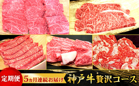 神戸牛 贅沢コース すき焼き ステーキ 焼肉 神戸牛【定期便】【5ヵ月連続】