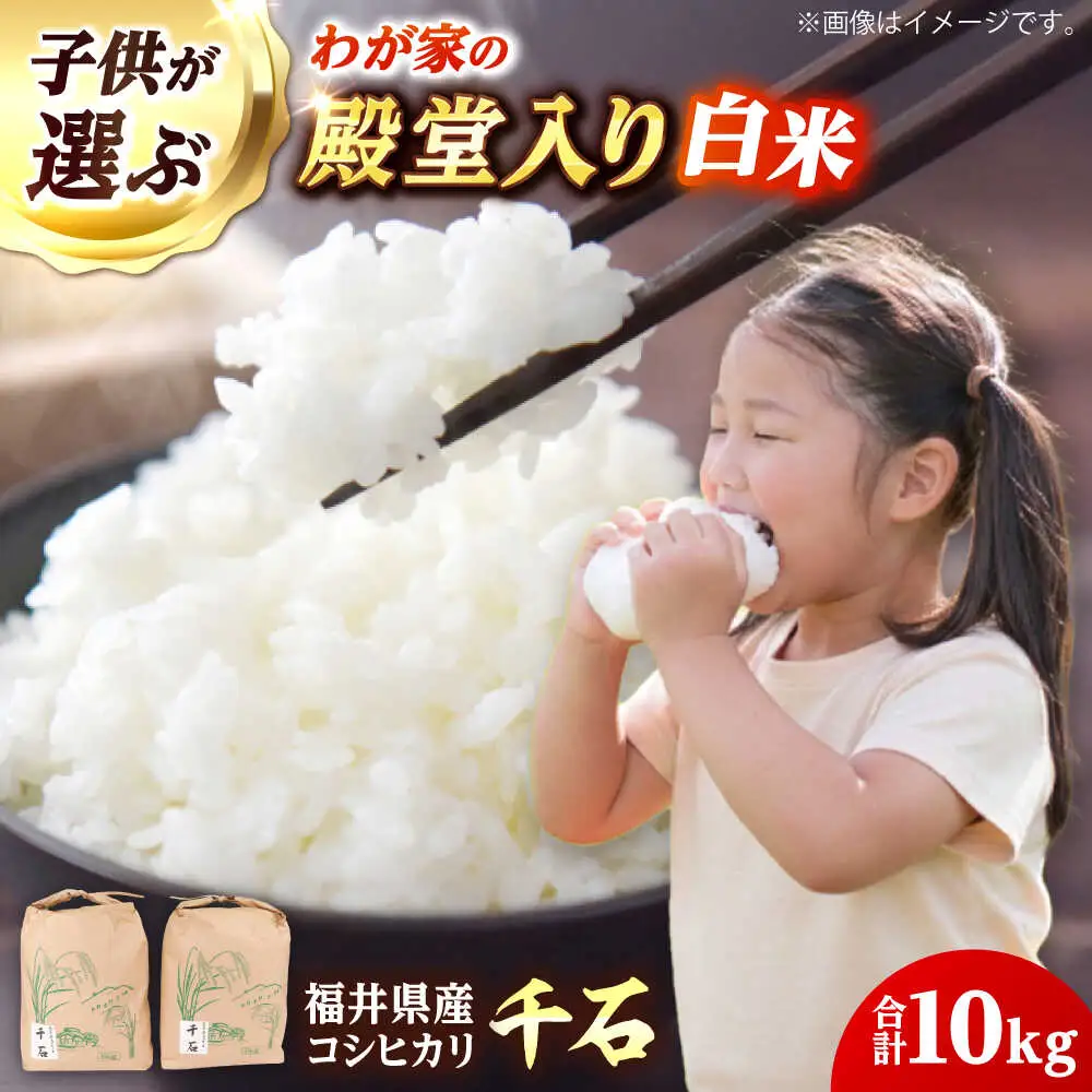 【 先行予約 /10月以降配送】【令和7年産】福井県産コシヒカリ「千石」 10kg 小浜市 / 千石の郷  [BFCA001]