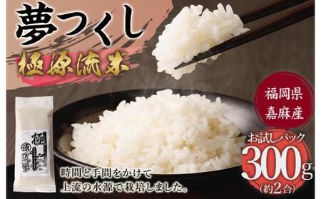 極源流米 お試し パック 約300g 夢つくし