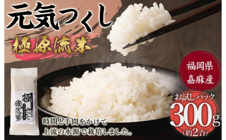 極源流米 お試し パック 約300g 元気つくし