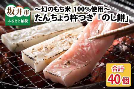 たんちょう杵つき のし餅 計40個 2026年11月下旬以降順次発送 おもち 餅 [A-2997]