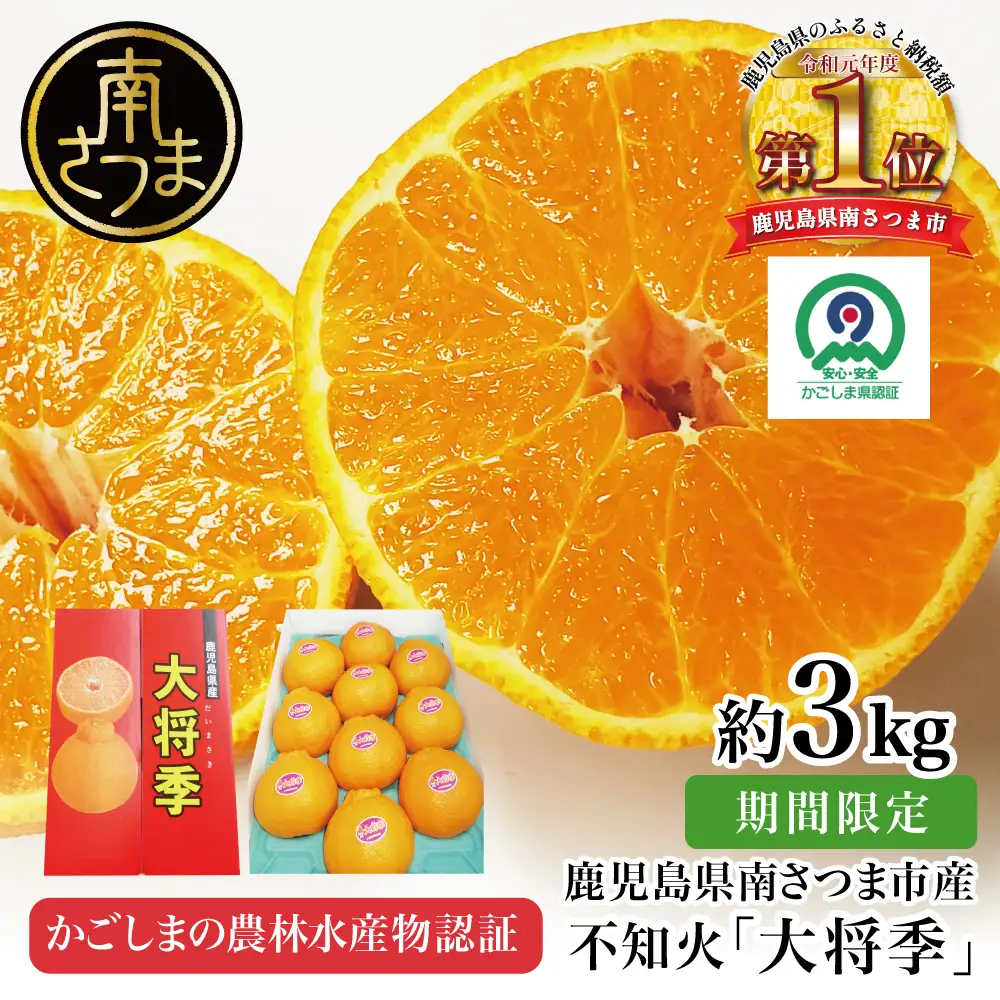 【11月末～12月発送】ブランド不知火「大将季」 約3kg入り化粧箱 （8玉～12玉） 果物 フルーツ 旬 柑橘 みかん しらぬい 鹿児島県産