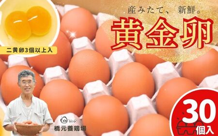 卵 産みたて新鮮卵 30個入り ※二黄卵3個以上入り※沖縄・離島への配送不可【aubless003】