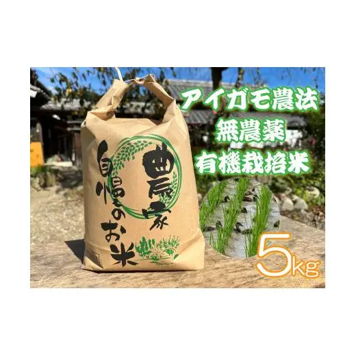 アイガモ農法で栽培した 無農薬 有機栽培米５kg お米 精米 こしひかり 兵庫県 多可町 檜本さん ひのきもとさん [800]