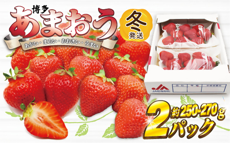 AT-001_【先行受付】博多あまおう2パック(冬)『12～1月発送』