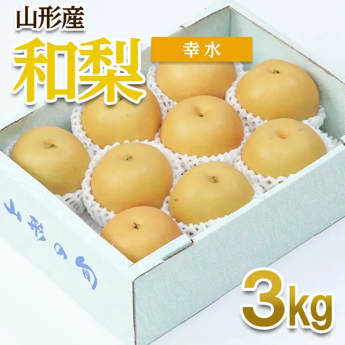 山形産 和梨(幸水) 秀 3kg(6～12玉) 【令和8年産先行予約】FU22-012 くだもの 果物 フルーツ 山形 山形県 山形市 2026年産