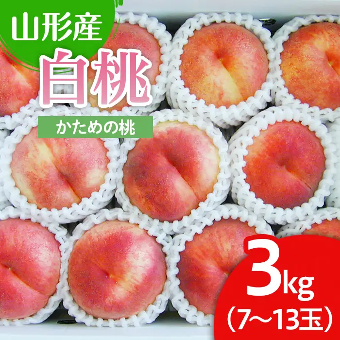 山形市産 白桃 3kg(かための桃) 【令和8年産先行予約】FU22-025 くだもの 果物 フルーツ 山形 山形県 山形市 2026年産