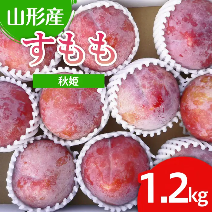 山形市産 すもも(秋姫) 1.2kg(7～12玉）【令和8年産先行予約】FU22-026 くだもの 果物 フルーツ 山形 山形県 山形市 2026年産