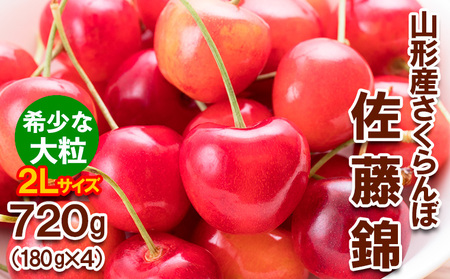 さくらんぼ 佐藤錦”希少な大粒” 2Lサイズ 720g(180g×4パック) 【令和9年産先行予約】FS25-569