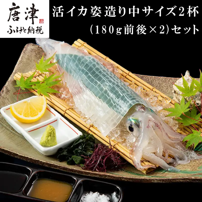 活イカ姿造り中サイズ2杯(180g前後×2)セット！ 鮮度抜群 捌きたて瞬間冷凍 いか活造り 刺身 簡単 呼子 ギフト