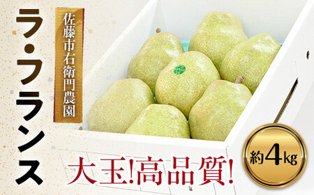 【令和8年産】 十三代目 佐藤市右衛門 特大玉 ラ・フランス 約4kg (7玉 秀 7L) 『旬の果実 佐藤市右衛門農園』 ラフランス 西洋梨 洋なし 果物 フルーツ 産地直送 生産農家直送 山形県 南陽市 [678]