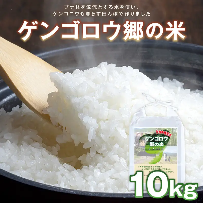 米 新米 2025年産 京丹後産生物多様性米コシヒカリ 10kg