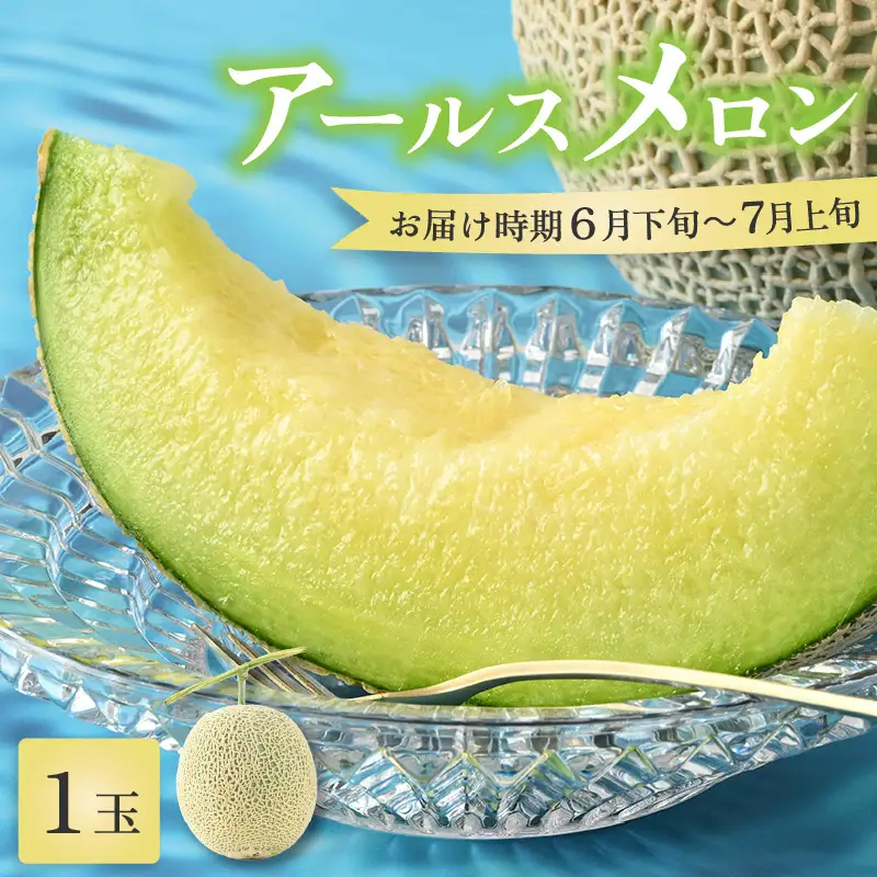 【先行予約】【青肉】アールスメロン 1玉（約1.6kg以上）青肉品種 高級メロン！ ／ マスクメロン 大玉 果物 フルーツ 夏 ギフト 農家直送 ※2027年6月下旬以降順次発送予定 [aw065-a001]