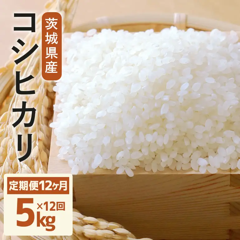 定期便 常陸牛農家が育てるコシヒカリ 5kg×12回 令和8年度産 米 お米 白米 こめ 精米 取り寄せ 特産 ごはん ご飯 コメ お取り寄せ ギフト 贈り物 お弁当 弁当 おにぎり ふっくら ツヤツヤ 甘い 農家直送 産地直送 国産 茨城県産