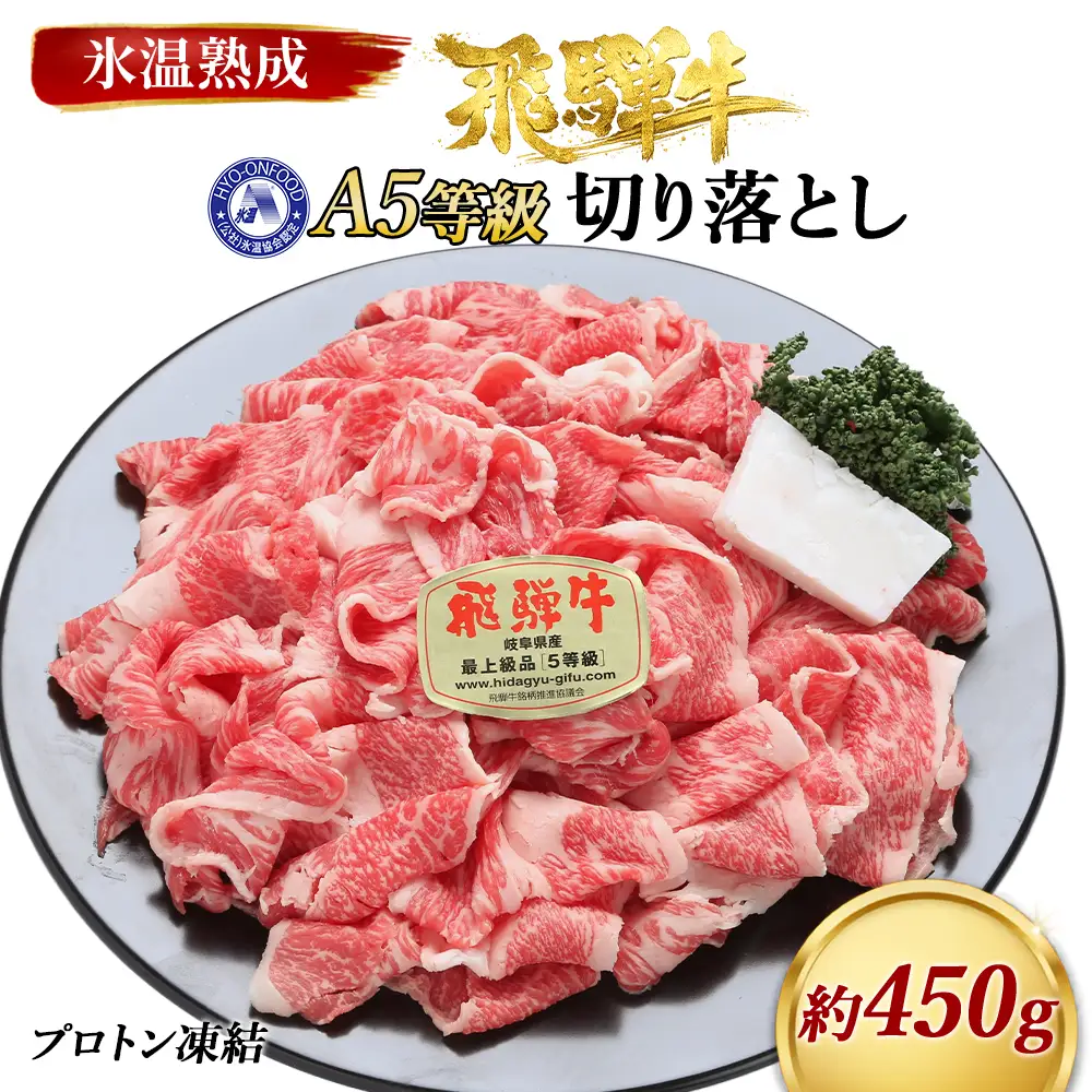 約450g切り落とし　氷温(R)熟成　飛騨牛Ａ５等級  プロトン凍結 [No.518]