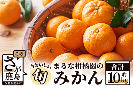 【期間限定】【2024年9月下旬出荷開始予定】 鹿島 まるな柑橘園のみかん 約10ｋｇ サイズ混合  B-177