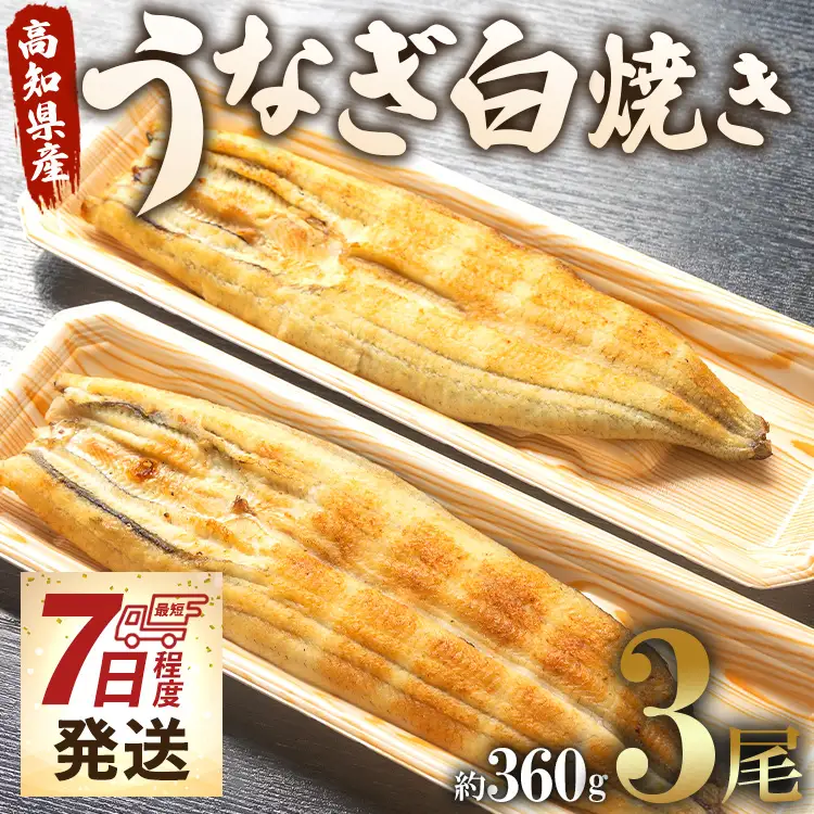 うなぎ白焼き 3尾(合計約360g)(無頭) - 送料無料 鰻 ウナギ 魚介 惣菜 おかず 山椒塩 のし ギフト 贈答 贈り物 プレゼント 丑の日 うなぎ屋きた本 高知県 香南市 冷凍 un-0088