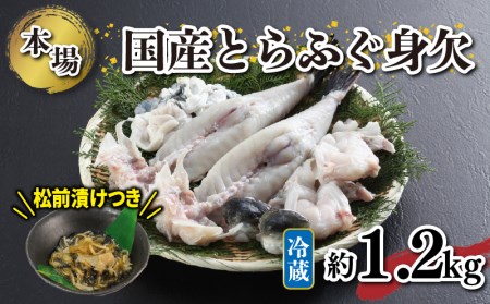 国産とらふく身欠（約1.1～1.3kg）/松前漬 《海（かい）：KA》