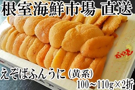 エゾバフンウニ(黄色系)約100～110g×2折 F-11010