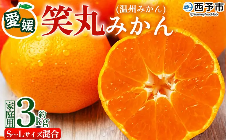 ＜愛媛県明浜産 笑丸みかん（温州みかん）約3kg S～L混合＞ 家庭用 訳あり ワケアリ 果物 くだもの フルーツ ミカン 柑橘 特産品 笑丸 愛媛県 西予市【常温】『2026年11月中旬～2027年1月上旬迄に順次出荷予定』AAN0006