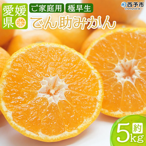 愛媛県西宇和産 でん助みかん（極早生）5kg ご家庭用 MDN0002