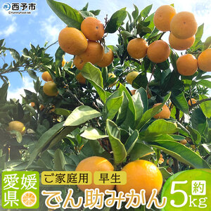 愛媛県西宇和産 でん助みかん（早生）5kg ご家庭用 MDN0003