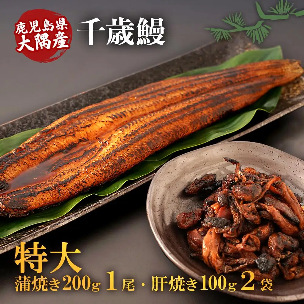 鹿児島県大隅産　特大 うなぎ 蒲焼 200g 1尾・鰻 の 肝焼き 100g×2袋 セット｜うなぎ