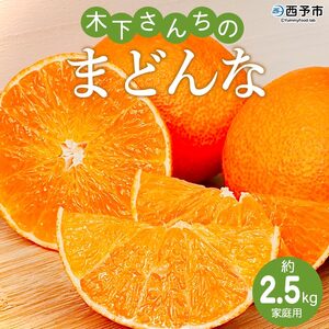 紅まどんなと同品種！＜木下さんちのまどんな 約2.5kg 家庭用＞ 柑橘類 みかん ミカン 果物 くだもの フルーツ 不揃い 自宅用 愛媛果試第28号 特産品 産地直送 マドンナ 木下農園 西宇和 愛媛県 西予市【常温】『2026年12月上旬～12月下旬迄に順次出荷予定』MKS0001