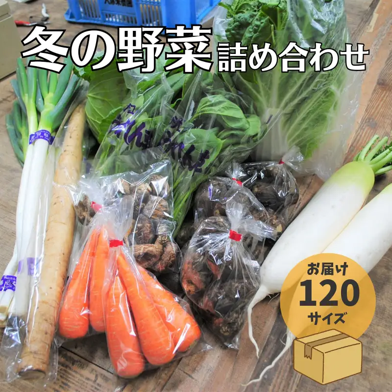 新見市産 冬の野菜詰め合わせセット【11月中旬～1月中旬発送】