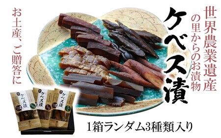 【10月から発送予定】西の関の酒粕で作ったこだわりの奈良漬け「季節のケベス漬け」1箱ランダム3種セット（計510g）_2106R