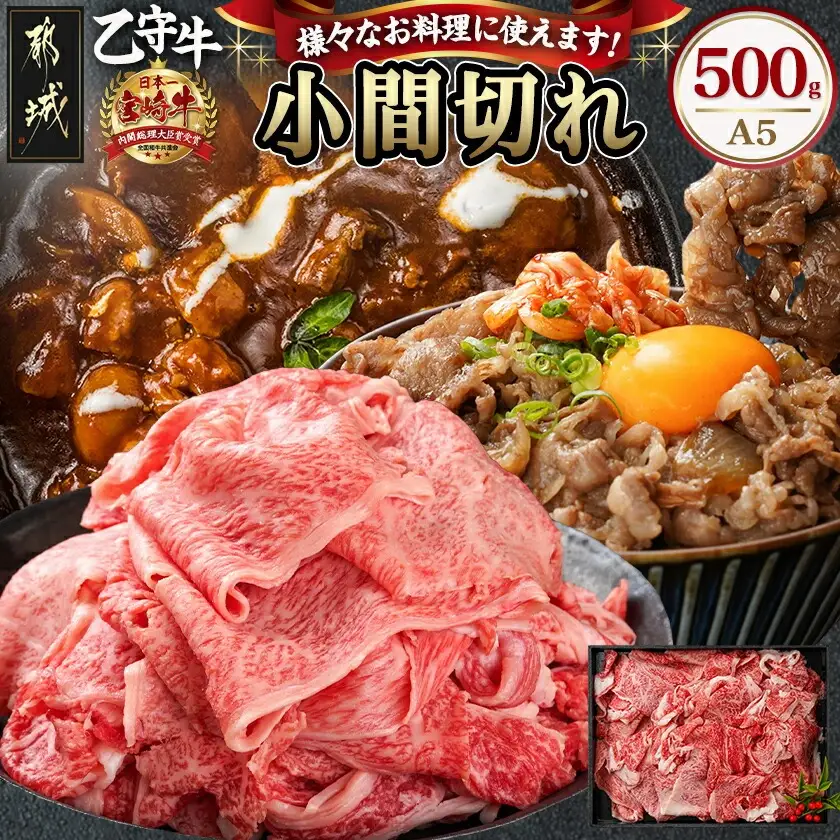 数量限定！【宮崎牛A5】小間切れ500g(乙守牛)〔19-6502〕_(都城市) 都城産宮崎牛 乙守牛 A5 小間切れ 500g×1パック 牛肉 