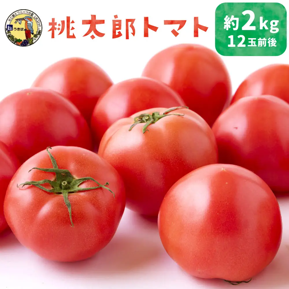 【ふるさと納税】 道の駅うきは 桃太郎トマト 12玉前後 (約2kg) 【2026年11月上旬から2027年5月上旬 出荷予定】 トマト とまと ももたろうトマト 大玉トマト 野菜 ベジタブル 新鮮 フレッシュ お取り寄せ 福岡県 うきは市