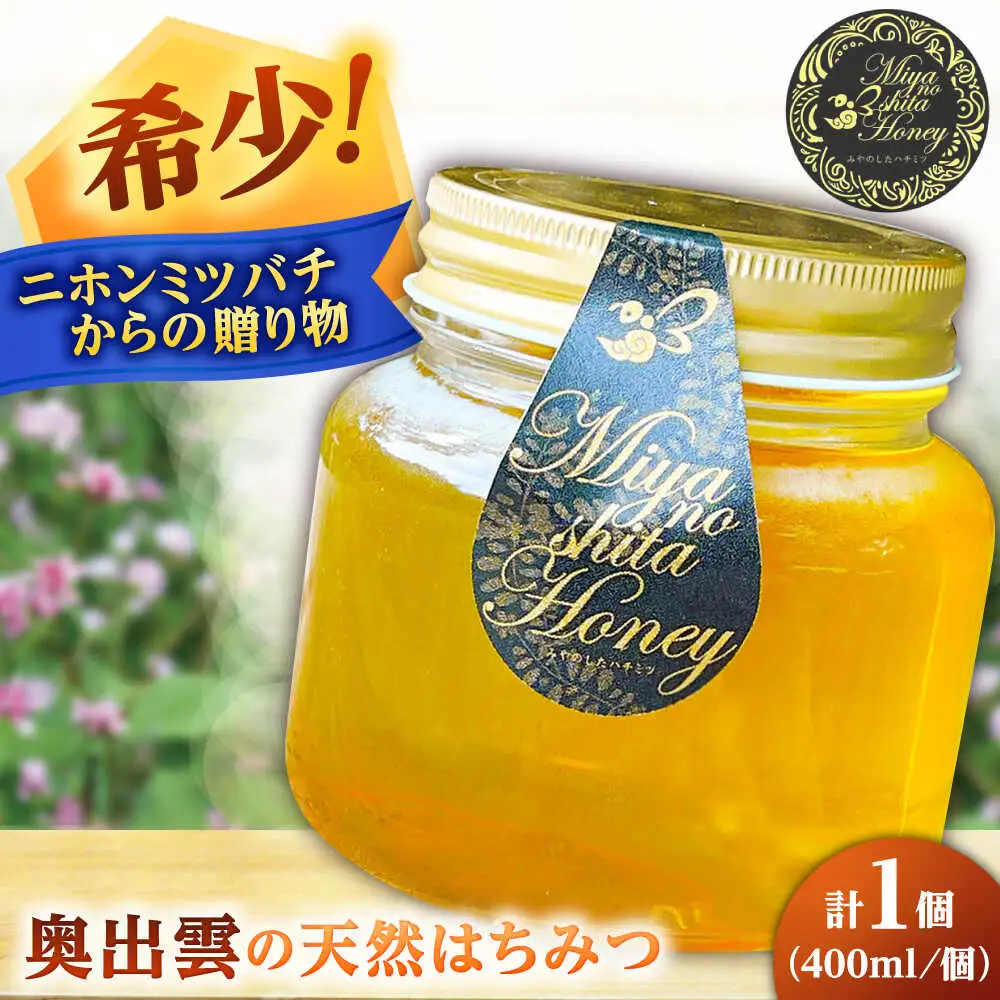 蜂蜜 天然日本ミツバチの「はちみつ」 400ml×1個 [AICL002]