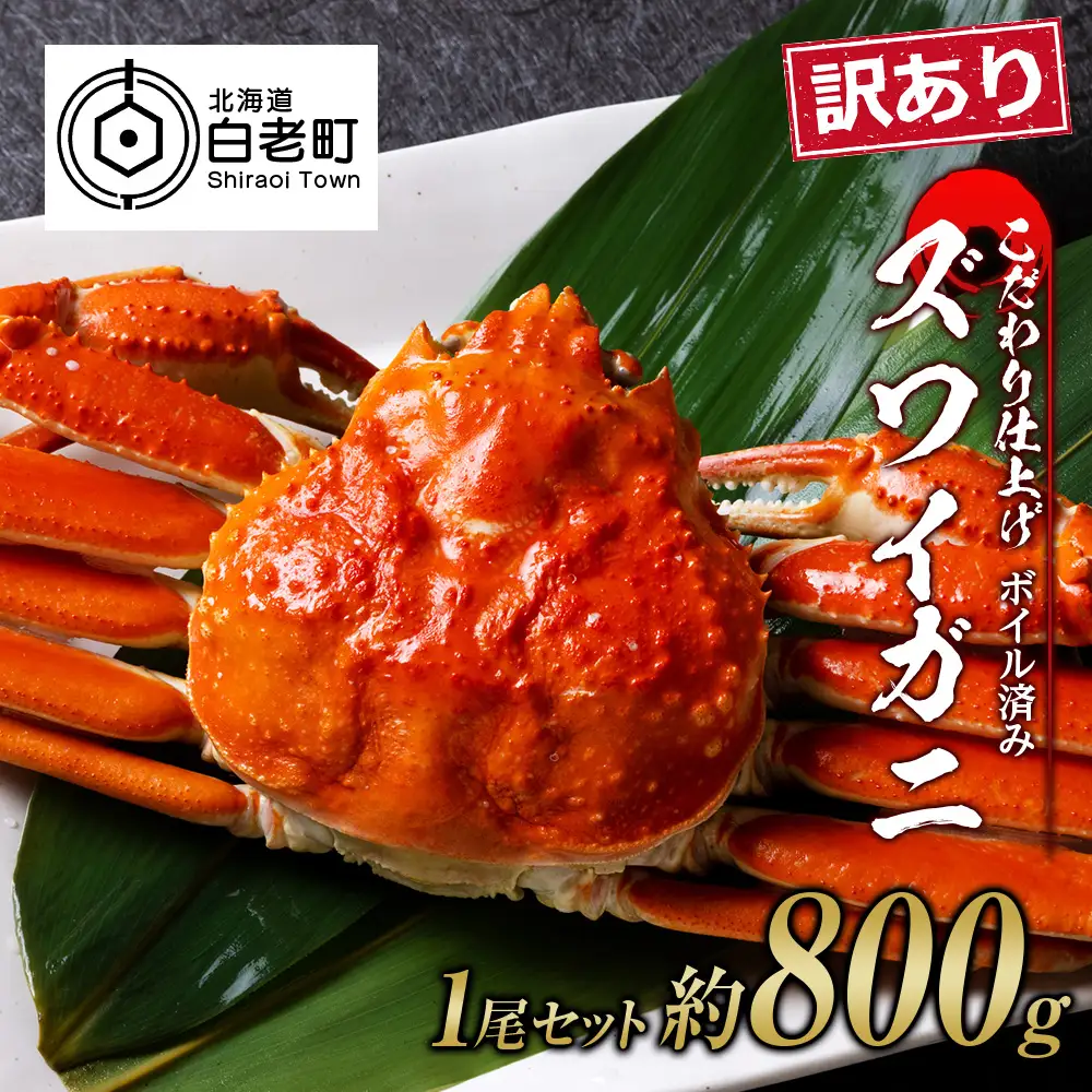 訳あり ズワイガニ 姿 ボイル済み 冷凍 1尾セット 約800g BM338