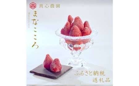 冷凍いちご 1kg 1袋 冷凍いちご