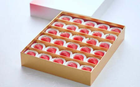 【先行予約】いちご とちおとめ 850g 苺 とちおとめ＼ 期間限定 特別寄附額 ／