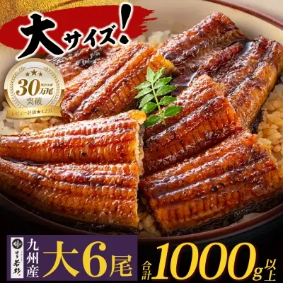 Z61-73 国産 うなぎ 蒲焼大サイズ6尾（計1000g以上）うなぎ