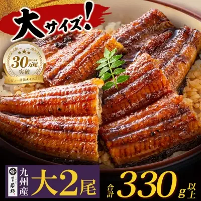 Z61-71 国産 うなぎ 蒲焼大サイズ2尾（計330g以上） うなぎ