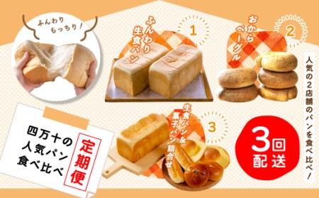 39210-999-9024．【3回定期便】ふんわり・もっちり美味しい！四万十の人気パン食べ比べ定期便