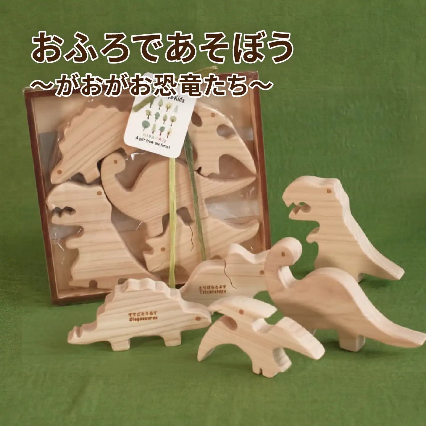 おふろであそぼう～がおがお恐竜たち～福井県産ひのきの木のおもちゃ　こども 子供