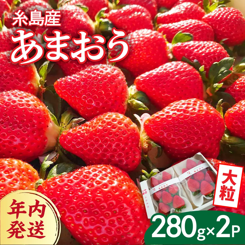 【農家直送！】【先行受付】糸島産あまおう 280g×2パック (DXまたはGサイズ)   【2026年12月以降順次発送】糸島市 / 後藤農園 [AML001] いちご 福岡