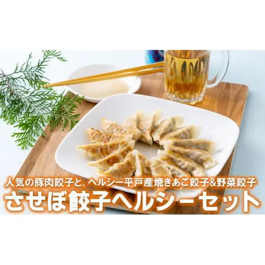 〈させぼ餃子研究所〉させぼ餃子ヘルシーセット