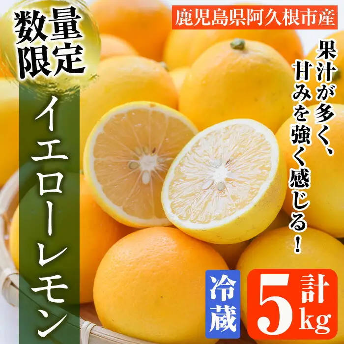 ＜先行予約受付中！2027年4月上旬以降順次発送予定＞ 数量限定！冷蔵品マイヤーイエローレモン (5kg) 国産 マイヤーレモン 檸檬 オレンジ 果実 果物 フルーツ 柑橘 デザート 期間限定 冷蔵 アレンジ デザート ドリンク 【桐野柑橘株式会社】akn070-13