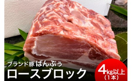ブランド豚「ばんぶぅ」ロースブロック1本 ばんぶぅ 豚肉 ロース ブロック肉 しゃぶしゃぶ 焼き肉 真空パック しゃぶしゃぶ肉 焼肉用 ブタ肉 国産 茨城県産 ギフト プレゼント 冷蔵 高級部位 ブランド豚 42-B